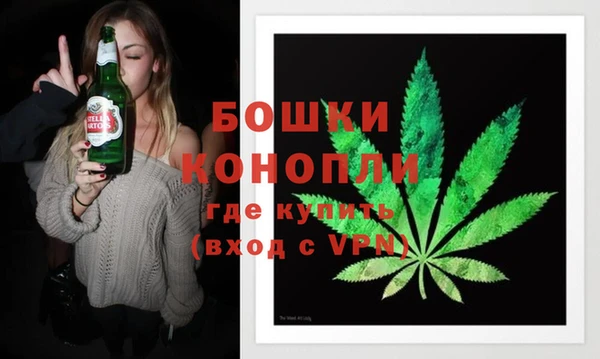 spice Верея