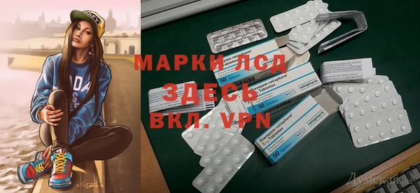 spice Верея