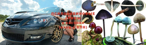 стафф Верхнеуральск